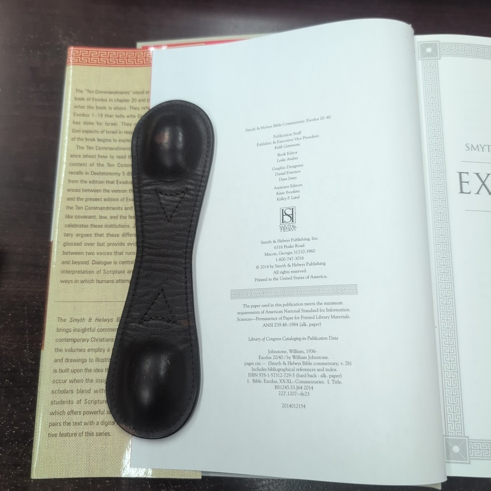 Exodus 20-40 Smyth & Helwys Bible Commentary William Johnstone Hardcover CD-ROM - Picture 4 of 4